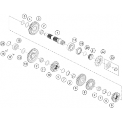 Boîte de vitesse - arbre secondaire GASGAS 300 EC 2T 2024 